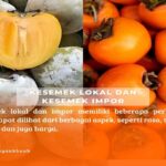 Manfaat Buah Kesemek Putih