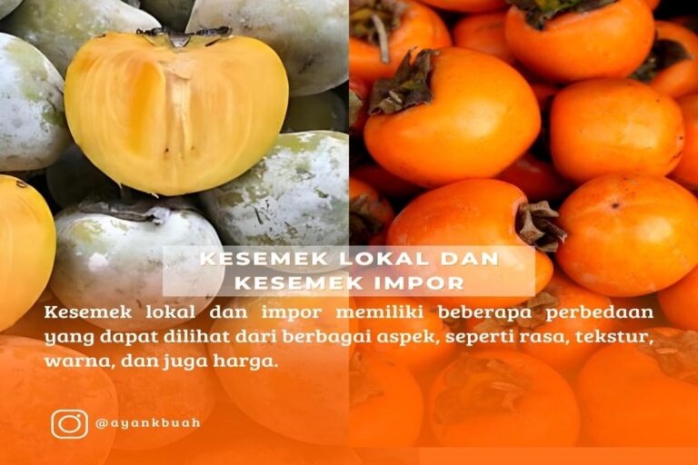Manfaat Buah Kesemek Putih