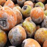Manfaat Buah Kesemek Ungu