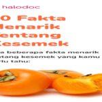 Manfaat Buah Kesemek Untuk Kesehatan Jantung