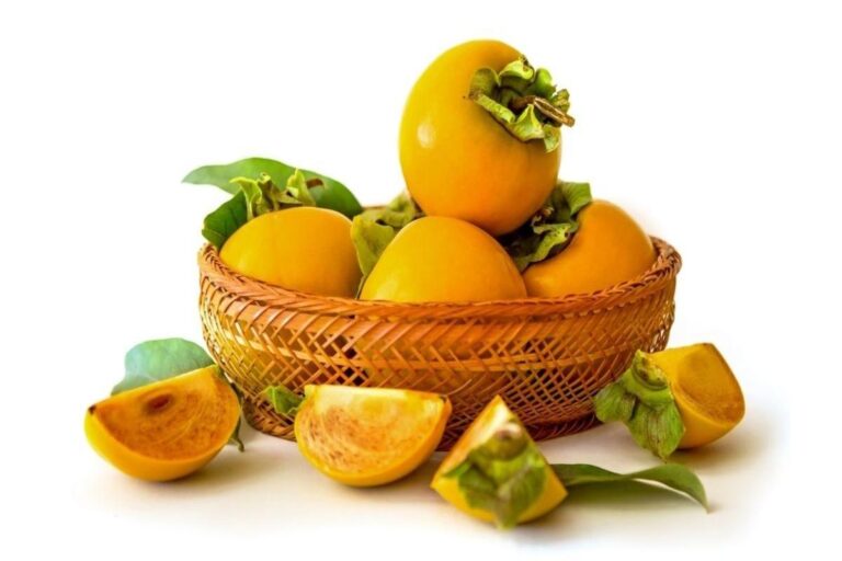 Manfaat Buah Kesemek Untuk Membantu Penyembuhan Luka