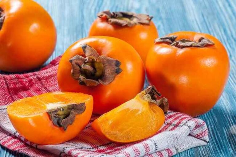 Manfaat Buah Kesemek Untuk Mencegah Penyakit Liver