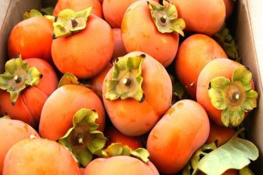 Manfaat Buah Kesemek Untuk Meningkatkan Produksi Kolagen