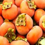 Manfaat Buah Kesemek Untuk Meningkatkan Produksi Kolagen