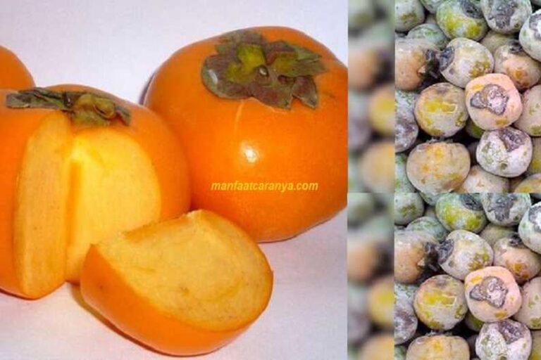 Manfaat Buah Kesemek Untuk Menstabilkan Tekanan Darah