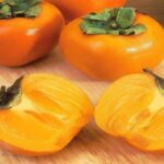 Manfaat Buah Kesemek Untuk Menyegarkan Tubuh