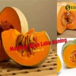 Manfaat Buah Labu Kuning