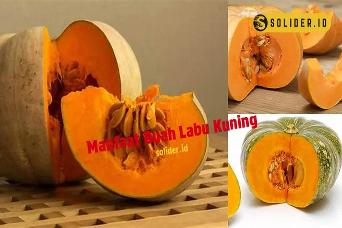 Manfaat Buah Labu Kuning