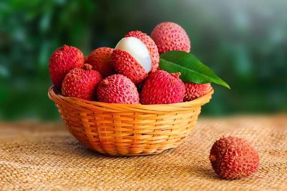Manfaat Buah Leci