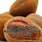Manfaat Buah Mahoni Bagi Kesehatan