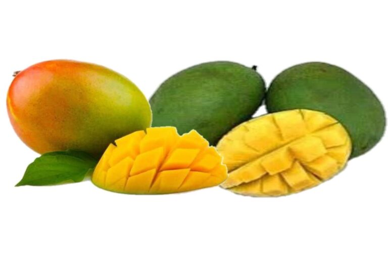 Manfaat Buah Mangga