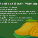 Manfaat Buah Mangga Untuk Kesehatan