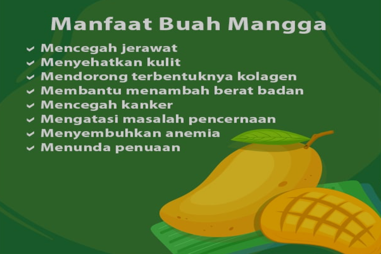 Manfaat Buah Mangga Untuk Kesehatan