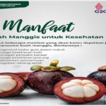 Manfaat Buah Manggis