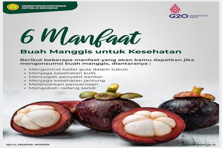 Manfaat Buah Manggis
