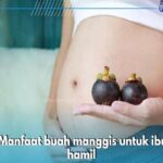 Manfaat Buah Manggis Untuk Ibu Hamil