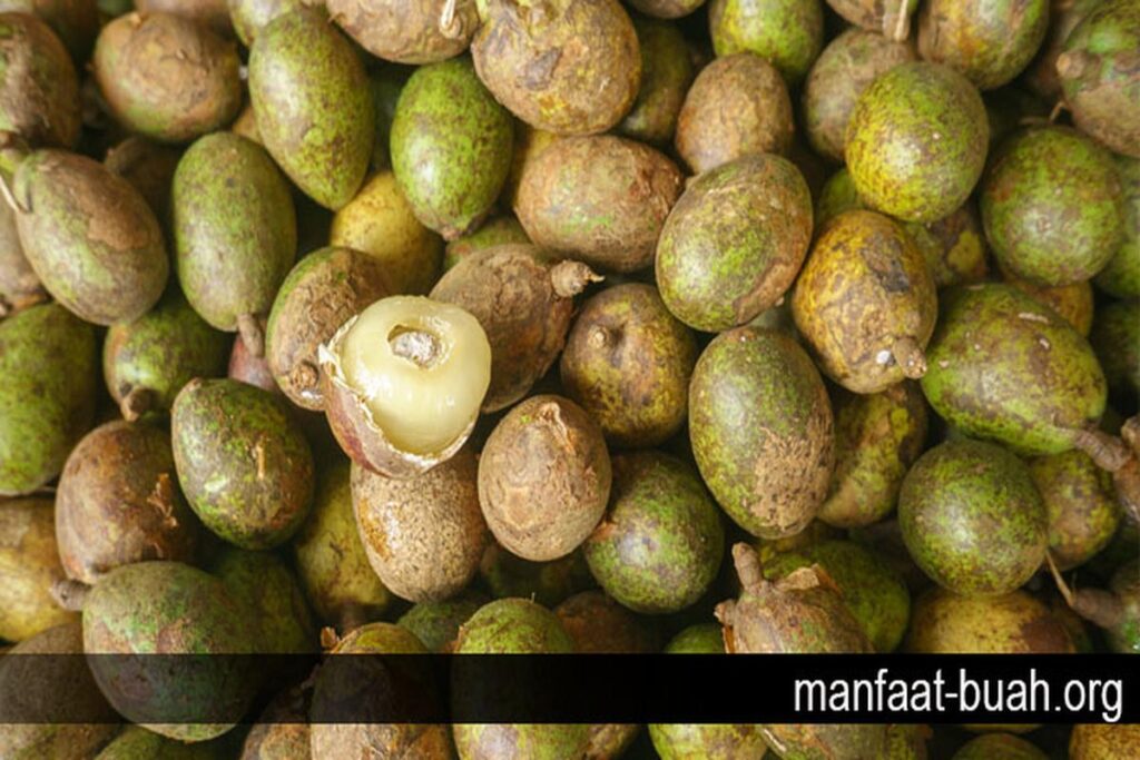 Manfaat Buah Matoa