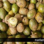 Manfaat Buah Matoa