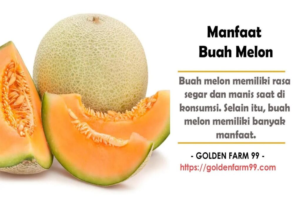 Manfaat Buah Melon Untuk Kesehatan