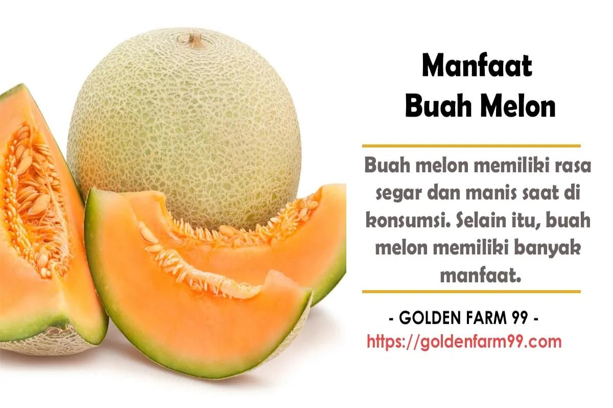 Manfaat Buah Melon Untuk Kesehatan