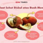 Manfaat Buah Mentega
