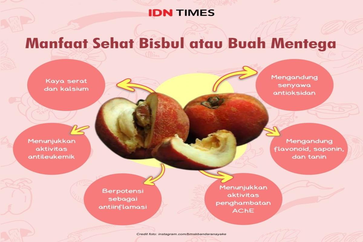 Manfaat Buah Mentega