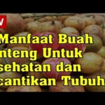 Manfaat Buah Menteng