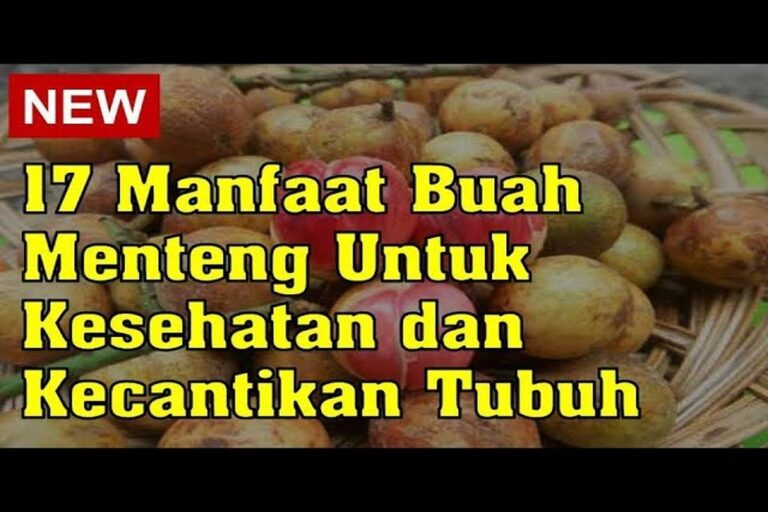 Manfaat Buah Menteng