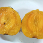 Manfaat Buah Mundu