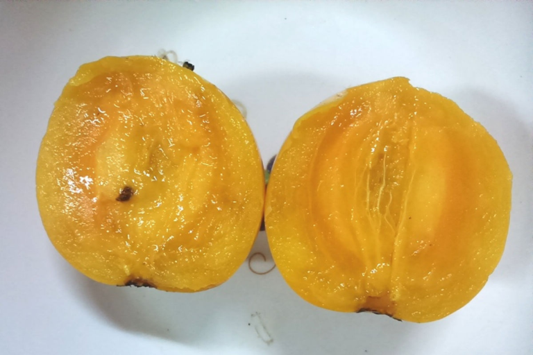Manfaat Buah Mundu