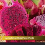 Manfaat Buah Naga Untuk Wanita