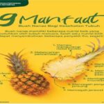 Manfaat Buah Nanas