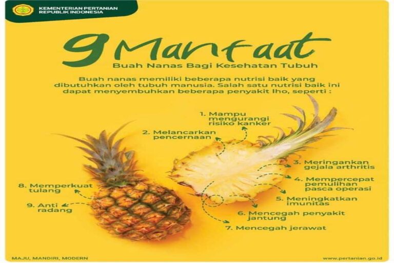 Manfaat Buah Nanas