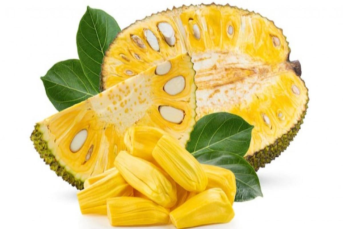 Manfaat Buah Nangka