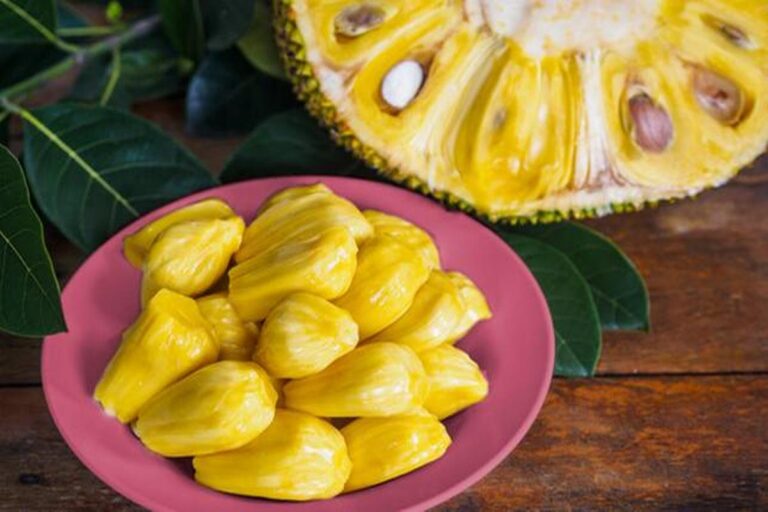 Manfaat Buah Nangka Untuk Kesehatan