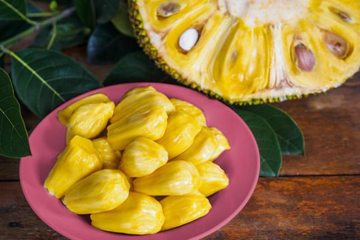 Manfaat Buah Nangka Untuk Kesehatan
