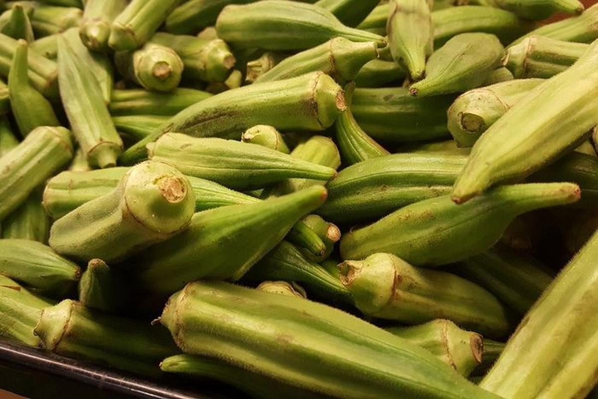 Manfaat Buah Okra Bagi Kesehatan