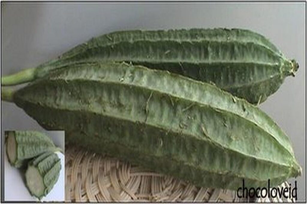 Manfaat Buah Oyong