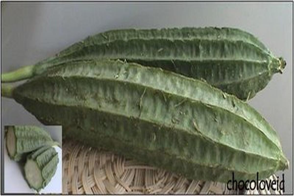 Manfaat Buah Oyong