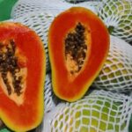 Manfaat Buah Pepaya