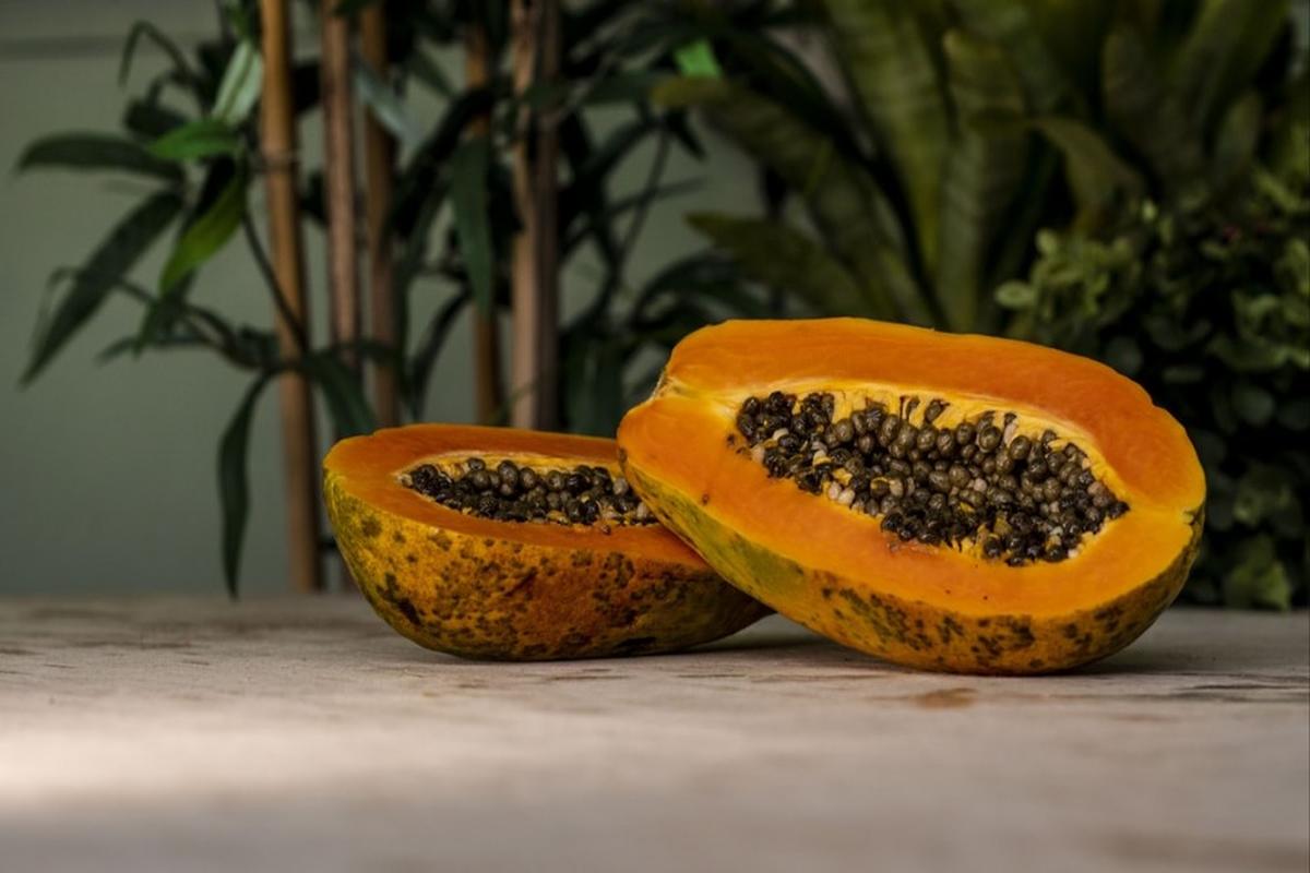 Manfaat Buah Pepaya Untuk Ibu Hamil