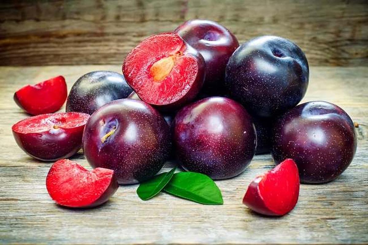 Manfaat Buah Plum
