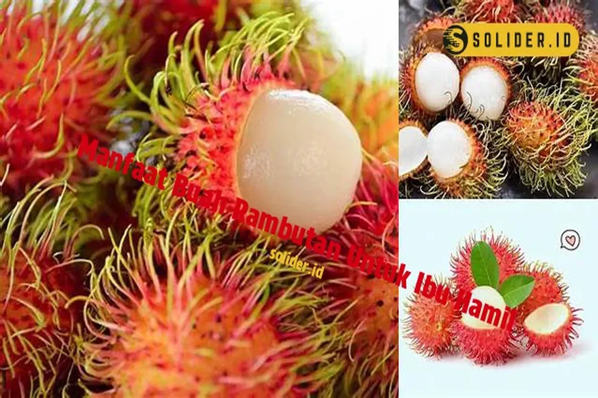 Manfaat Buah Rambutan Untuk Ibu Hamil