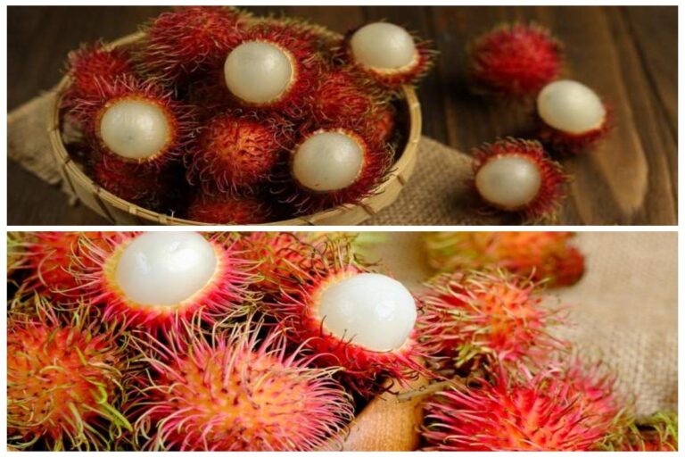 Manfaat Buah Rambutan Untuk Kesehatan