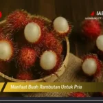 Manfaat Buah Rambutan Untuk Pria