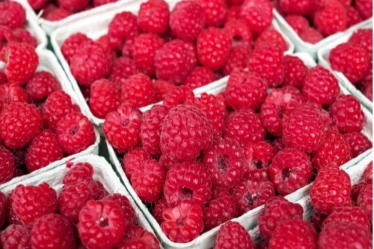 Manfaat Buah Raspberry Hitam