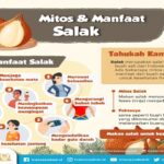 Manfaat Buah Salak