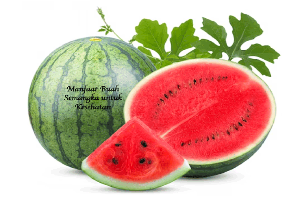 Manfaat Buah Semangka