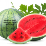 Manfaat Buah Semangka