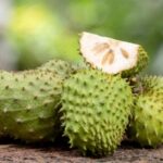 Manfaat Buah Sirsak